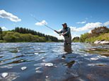 It may sound fishy, but loudspeakers could save the future of Scottish salmon