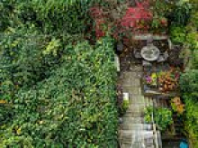 Royal British Legion stalwart's £4million Chelsea mansion is so run-down that a CORPSE was found in the basement and furious neighbours can't sell their upmarket homes... and the family tragedy behind the squalor