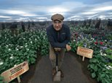 Vinnie Jones clashes with bird lovers over plans to build luxury shooting retreat on his 2,000-acre farm