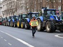 JAMES REBANKS: When World War One broke out, Britain had six weeks of food reserves and the government was terrified. Now it's just six days...