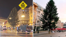 FOTO Na Trg postavili jelku! Stara je 40 godina, visoka 18 m