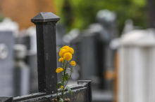 NOVO GROBLJE I KAPELA GRADE SE U BATAJNICI: Sadržaće i rozarijume, kolumbarijume kao i „vrt sećanja”, u planu i crkva