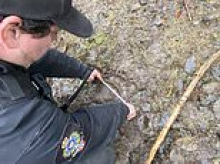 Very dangerous grizzly bear still on loose after attacking 20 students and teachers