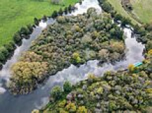 BBC Bailiffs and Homes Under the Hammer star, 46, sells uninhabited Thames island at a huge loss