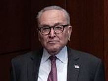 'Guerilla' liberals form a 'fight club' to oust Schumer after walking right into Trump's Oval Office trap