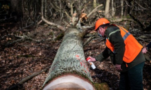 Domaća industrija ostaje bez 150 milijuna eura godišnje? Ključan program treba promijeniti