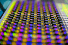 Radio Slovenija na Slovenskem knjižnem sejmu 2025 z bogatim programom za vse generacije