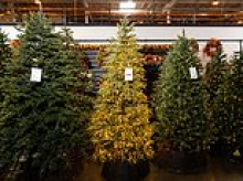 Trump blamed for soaring prices on artificial trees as CEO begs White House to 'save Christmas'
