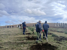 ZASAĐENO VIŠE OD HILJADU SADNICA DRVEĆA NA ZLATIBORU Akciji se pridružili predstavnici javnih ustanova, turističkog sektora i predsednik Opštine Čajetina (FOTO)