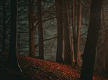 Chilling moment anonymous caller reported dead body in woods during live radio station.. with police finding it shortly afterwards