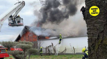 Strašne scene iz Sesveta: Više je ozlijeđenih u velikom požaru!