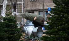 Božićna drvca već su u ponudi: Pazite koliko ćete morati izdvojiti za jednu jelku