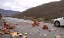 OPASNI ODRONI NA PUTEVIMA Padavine i mraz povećavaju rizik od nesreće, najčešći u Zlatiborskom okrugu