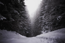 NA SRPSKOJ PLANINI PALO ČAK 30 CENTIMETARA SNEGA Oborila 