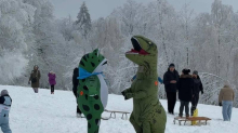 Pazi, dinosaur i žaba u snijegu! Brat i seka razveselili djecu u Pakracu: 'Svi su nas snimali'