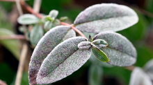 Wetterprognose: Frost, Nebel und Glätte – Wetter bleibt winterlich