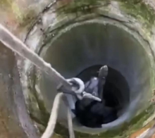 PAS SPASEN IZ BUNARA DUBOKOG 20 METARA! Vatrogasci emotivnom fotografijom raznežili svačije srce! (VIDEO)