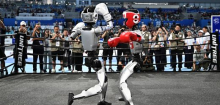 World Robot Games: Boxende Roboter als neue Disziplin