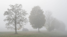 Wetter: Der Frühwinter schaltet auf 