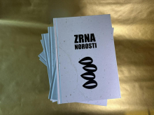 Peter Krkoč: Zrna norosti