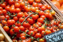 Salmonellen-Gefahr: Spar ruft Cherrytomaten der Eigenmarke zurück