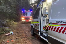 Oberwölz: Steirer bei Waldarbeiten von Stamm an Beinen schwer verletzt