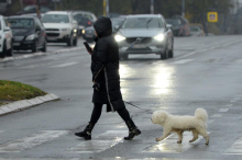 AMSS: Kamioni na prelazu Batrovci čekaju pet sati