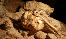 Jedan od najcjelovitijih fosila ikad mogao bi biti posve nova vrsta ljudskog pretka