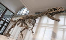 Pravi spektakl: Tisuće otisaka dinosaura pronađeno na alpskim liticama u Italiji