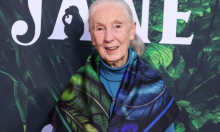 U čast Jane Goodall: Nagrada za inicijative koje spašavaju život na Zemlji