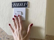 Noč kratkih filmov ni ena, noči kratkih filmov so štiri: filmske miniature zavzele platna in ekrane