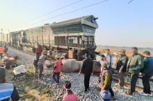 V trčenju vlaka v Indiji poginilo sedem slonov