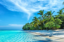 Sonnige Ziele: „O Palmenbaum“: Wohin es die Urlauber diesmal nach den Feiertagen zieht 