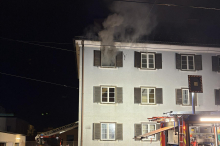 Graz: Drei Katzen verendeten bei Wohnungsbrand in der Herrgottwiesgasse