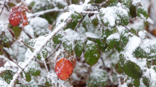 Gute Wetteraussichten: Sonne und Schnee im Thüringer Wald erwartet