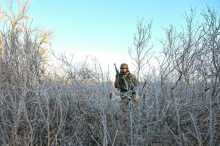 Putin pripravljen zamenjati ozemlje pod nadzorom Rusije, a še vedno zahteva celoten Doneški bazen