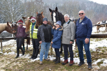 Am Stefanitag: In der Oststeiermark wurden wieder die Pferde gesegnet