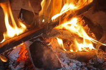 Bauernvertreter kritisieren Import-Brennholz in steirischen Baumärkten