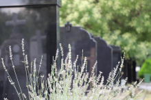 Izmenjeno radno vreme JKP „Pogrebne usluge“ tokom novogodišnjih i božićnih praznika