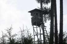 Todesfall: Jäger in Kainach tot im Hochsitz aufgefunden