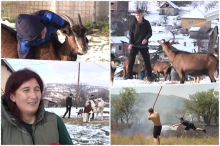 Milka u kućerku na brdu kod Prokuplja podiže 3 sina: Aleksa, Mitar i Vasilije heroji su koji su letos od požara spasili svoju kuću imaju samo jednu želju