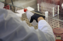 BATUT OBJAVIO KAKO ĆE RADITI ZA PRAZNIKE: Ovo je radno vreme Instituta za javno zdravlje 