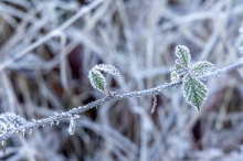 So eisig war der Neujahrsmorgen in Kärnten und Osttirol