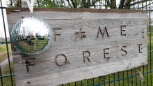 Bäume für jeden Arena-Auftritt: Naturschutz mit Discokugel - Fame Forest wächst