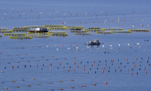 Italija vzpostavila izključno gospodarsko cono, slovenski interesi naj ne bi bili okrnjeni