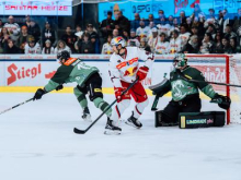 Olimpija pri prvakih, ki lovijo že 12. zaporedno zmago