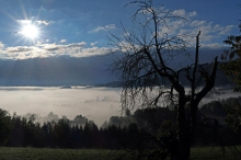 V Sloveniji lansko leto četrto najtoplejše v zadnjih 75 letih, izstopal je predvsem mesec junij