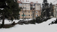 SNEG OŠTETIO MNOGA STABLA: U toku je sanacija u lozničkim parkovima