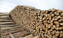 Hrvatske šume korigirale cijene svih drvnih sortimenta, evo za koliko