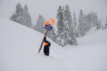 V snežnih plazovih v Avstriji umrlo pet ljudi